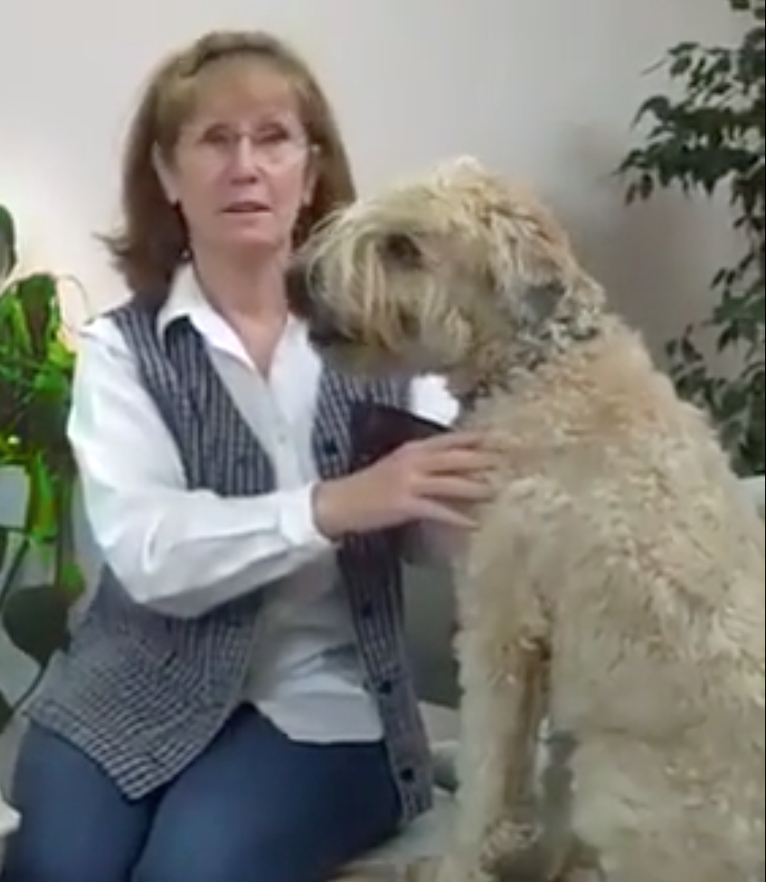  Cabinet Vétérinaire International,Nyon Veterinarian, veterinarian Nyon