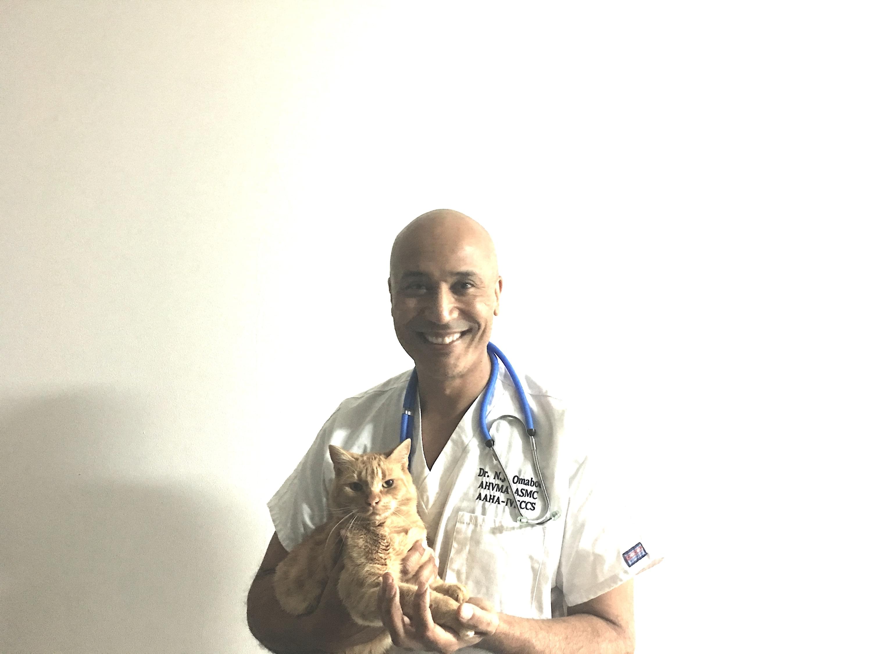  Cabinet Vétérinaire International,Nyon Veterinarian, veterinarian Nyon