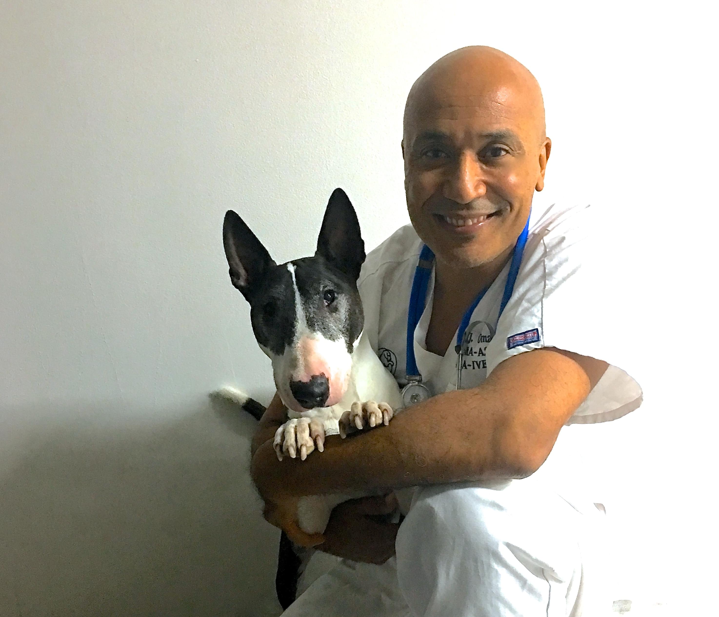  Cabinet Vétérinaire International,Nyon Veterinarian, veterinarian Nyon